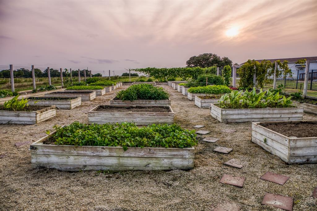 Arranged in neat, orderly rows, these beds create a visually appealing and highly functional layout. The gravel pathways between the beds allow for easy access and maintenance, ensuring that every plant receives the attention it deserves. As the sun sets, the beds take on a magical quality, with the golden light casting a warm glow over the vibrant green leaves and budding crops.