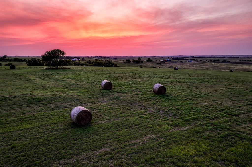 Witness the breathtaking beauty of a Texas sunset at Jamila Olive Orchard, where the sky transforms into a canvas of vibrant hues, creating a serene and enchanting atmosphere that perfectly complements the natural splendor of this magnificent property.