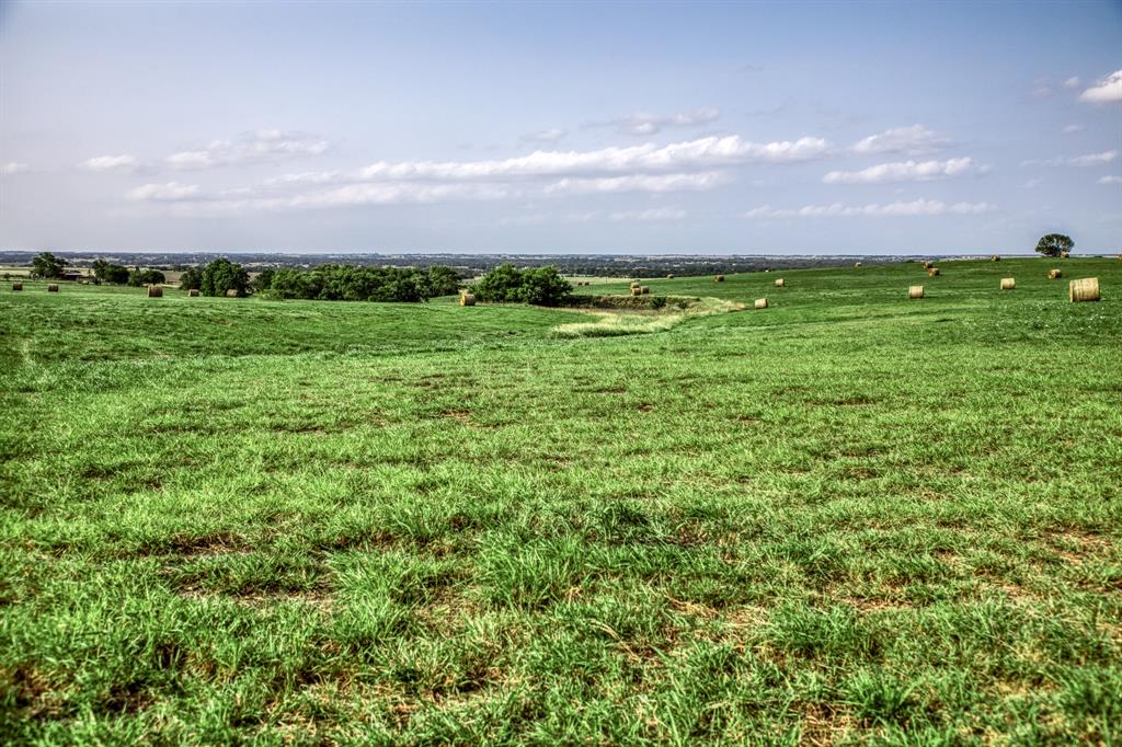 Discover the boundless opportunities awaiting you at Jamila Olive Orchard, where lush, rolling fields stretch as far as the eye can see.