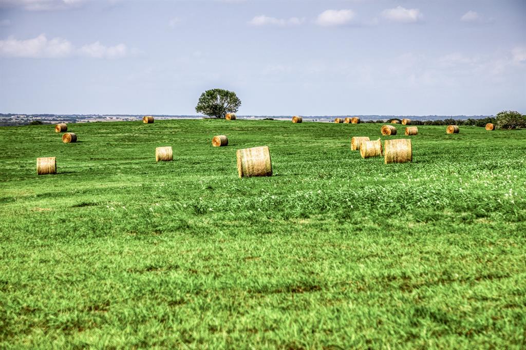 The verdant landscape, adorned with neatly rolled hay bales, speaks of fertile soil and prosperous harvests. Whether you dream of expanding the existing olive orchard, cultivating new crops, or creating a serene countryside haven, this property provides the perfect backdrop.