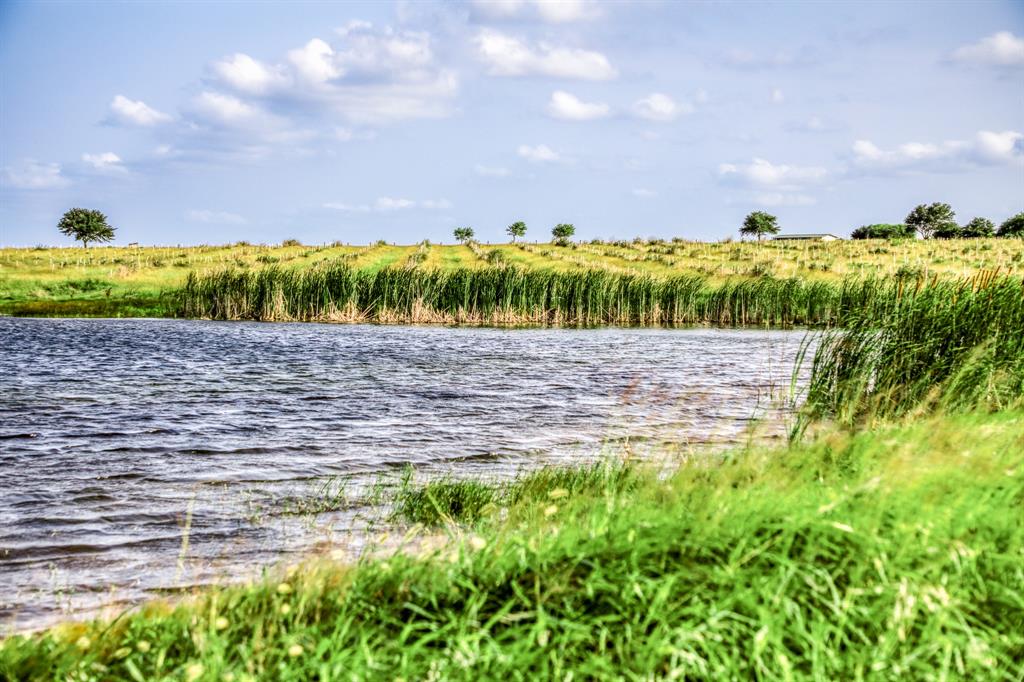 The pristine ponds, reflecting the clear blue skies, provide a peaceful sanctuary for wildlife and a serene backdrop for contemplative walks or leisurely afternoons by the water\'s edge.