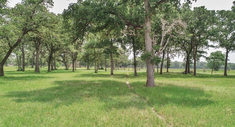 7947 County Road 284  , Edna, Texas image 4