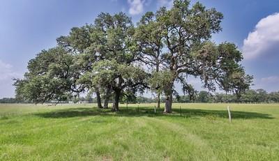 7947 County Road 284  , Edna, Texas image 36