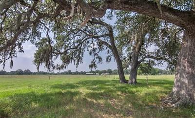 7947 County Road 284  , Edna, Texas image 10