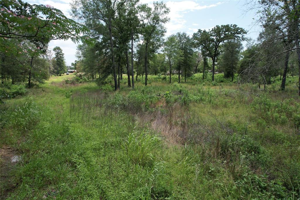 TBD Jones Road , Elkhart, Texas image 15