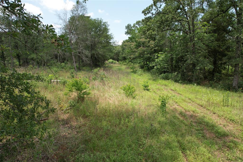 TBD Jones Road , Elkhart, Texas image 16