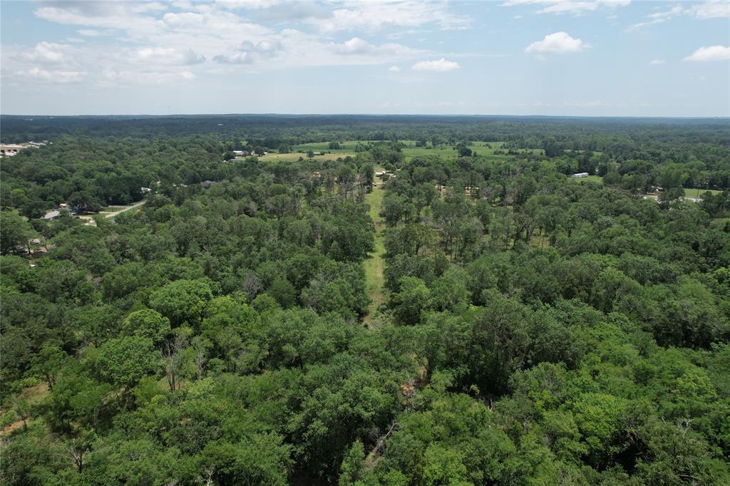 TBD Jones Road , Elkhart, Texas image 5