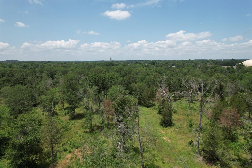 TBD Jones Road , Elkhart, Texas image 7