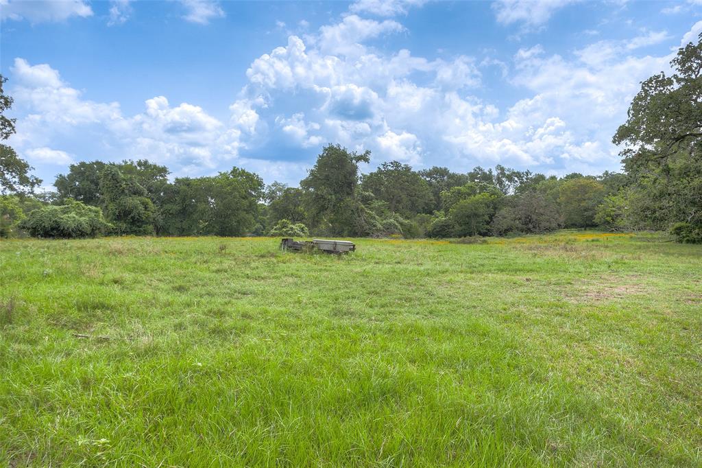 View of land behind the house and pool