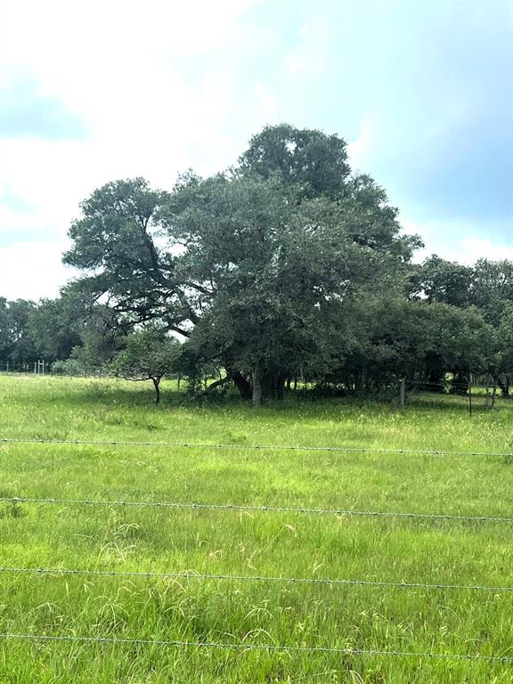 000 Dancing Deer-tr 1 Road , Altair, Texas image 4