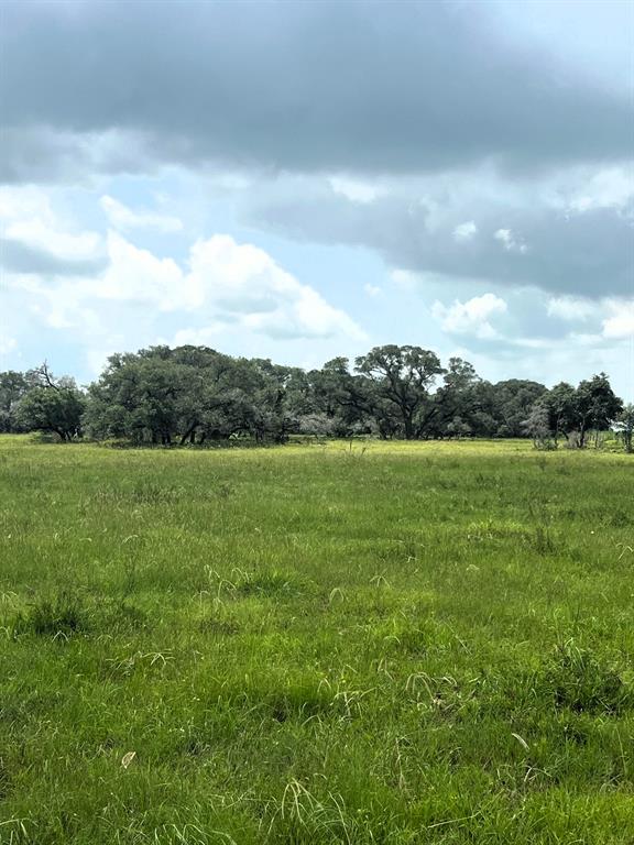 000 Dancing Deer-tr 1 Road , Altair, Texas image 6