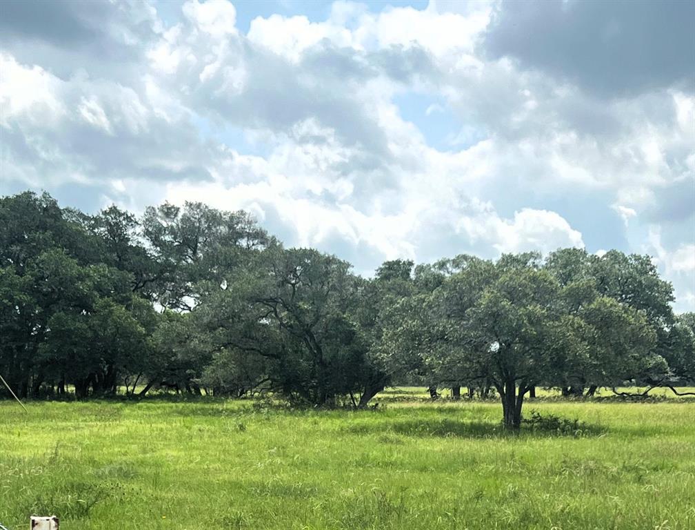 000 Dancing Deer-tr 1 Road , Altair, Texas image 7