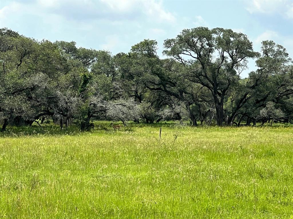 000 Dancing Deer-tr 1 Road , Altair, Texas image 8