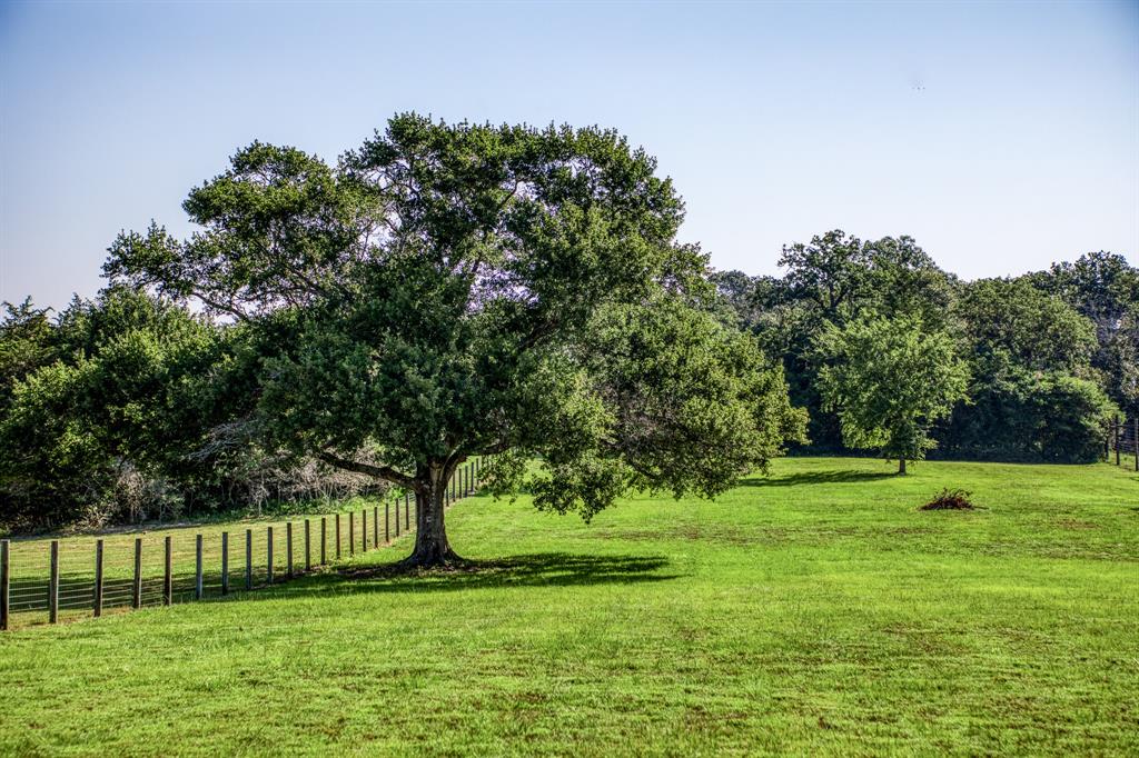 8341 Jared Rd  , Bellville, Texas image 6