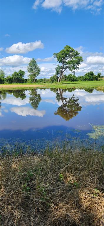 9350 Fm 230  , Lovelady, Texas image 38