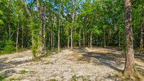 6386 Mesquite, Orange, TX, 77632