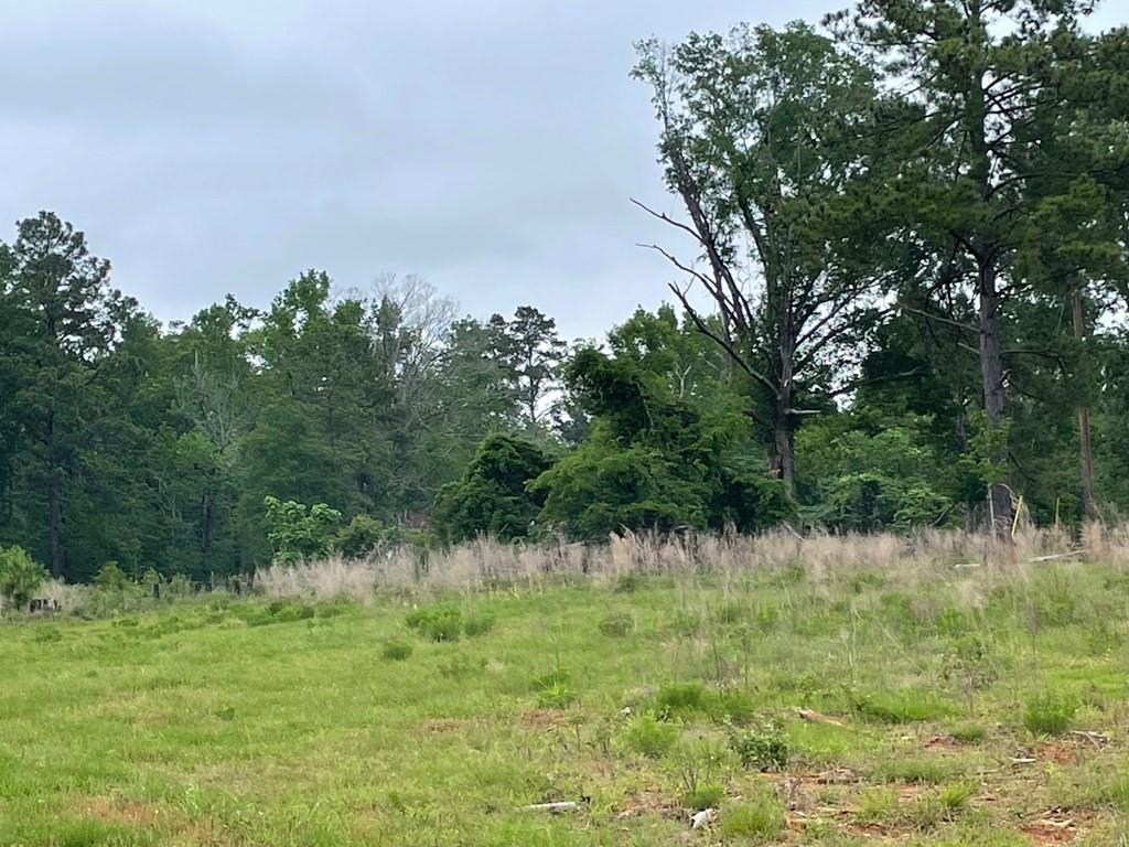 1533 Boggy Creek Rd  , San Augustine, Texas image 9