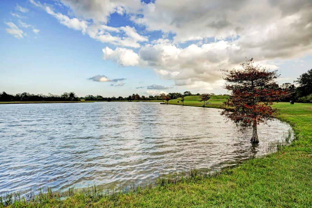 Bark Park at Countryside is located adjacent to Countryside Park.