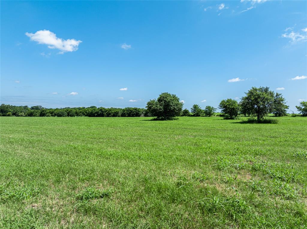 TBD - Tract 15 Blossom Hill Road , Round Top, Texas image 4