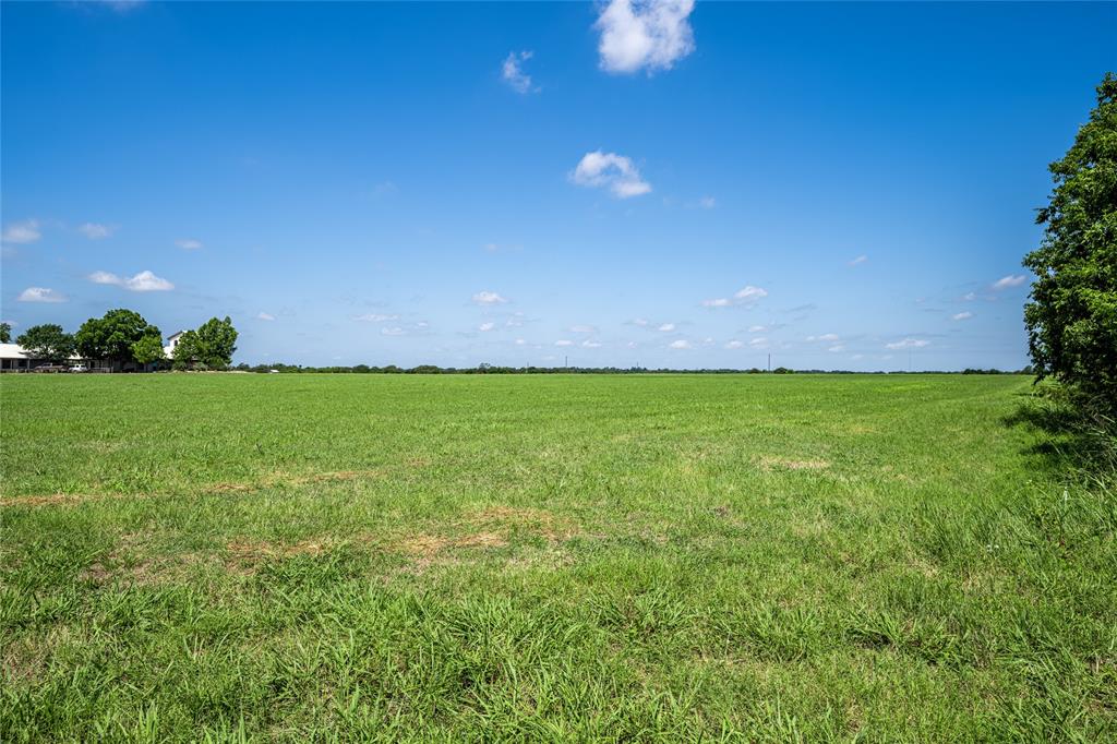 TBD - Tract 15 Blossom Hill Road , Round Top, Texas image 6