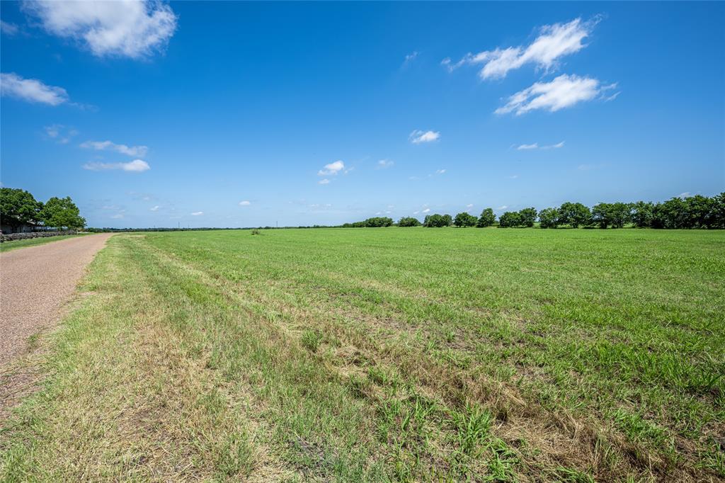 TBD - Tract 15 Blossom Hill Road , Round Top, Texas image 7