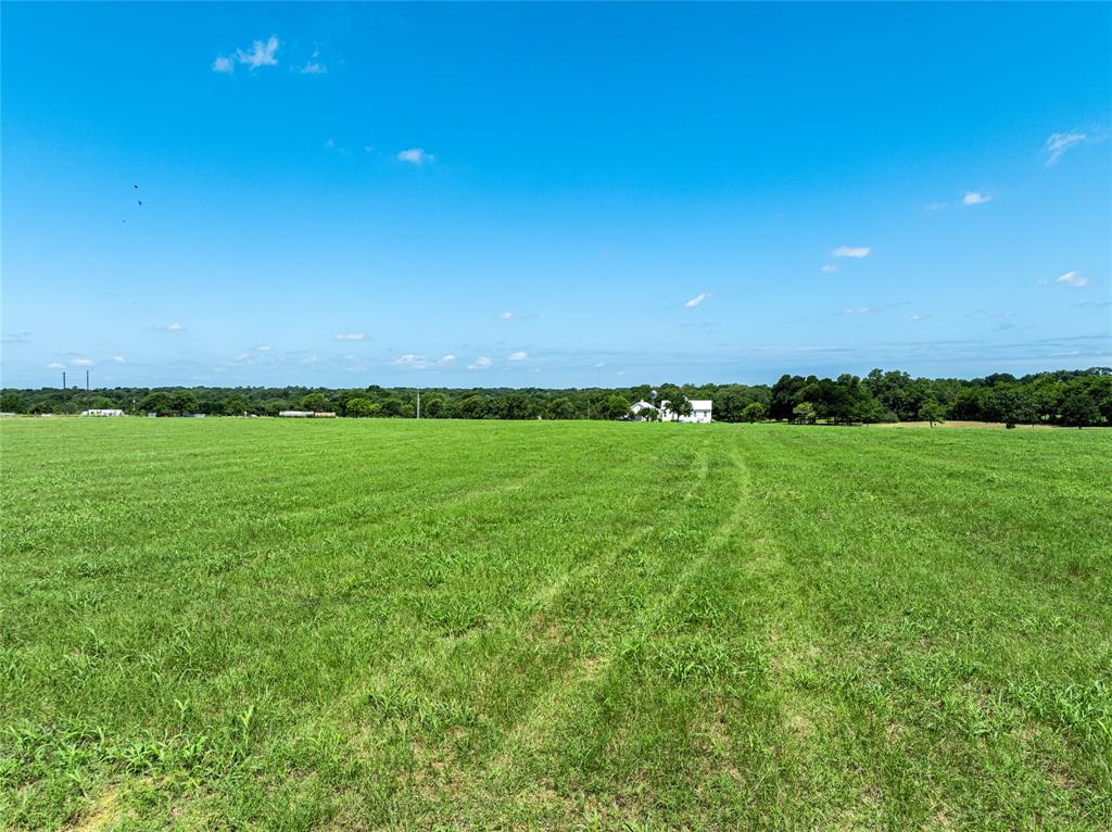 TBD - Tract 15 Blossom Hill Road , Round Top, Texas image 8