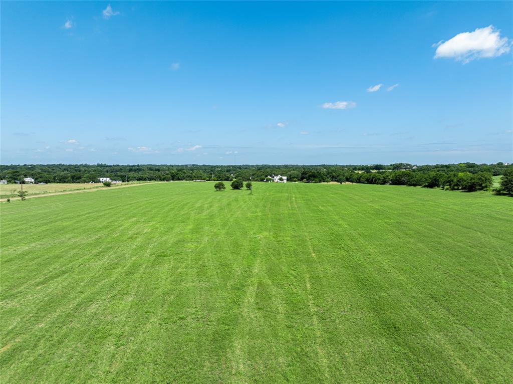 TBD - Tract 15 Blossom Hill Road , Round Top, Texas image 9