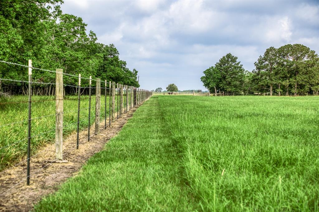 4320 County Road 18  , Damon, Texas image 12