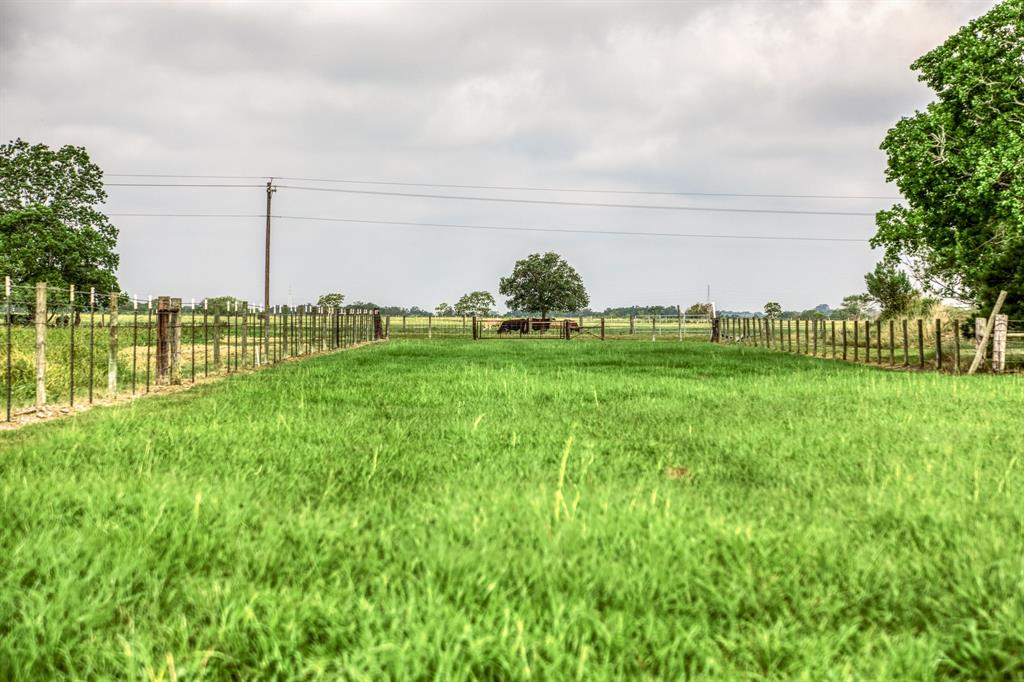 4320 County Road 18  , Damon, Texas image 19