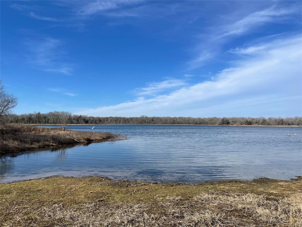 19363 Moonlit Hollow Loop , College Station, Texas image 44