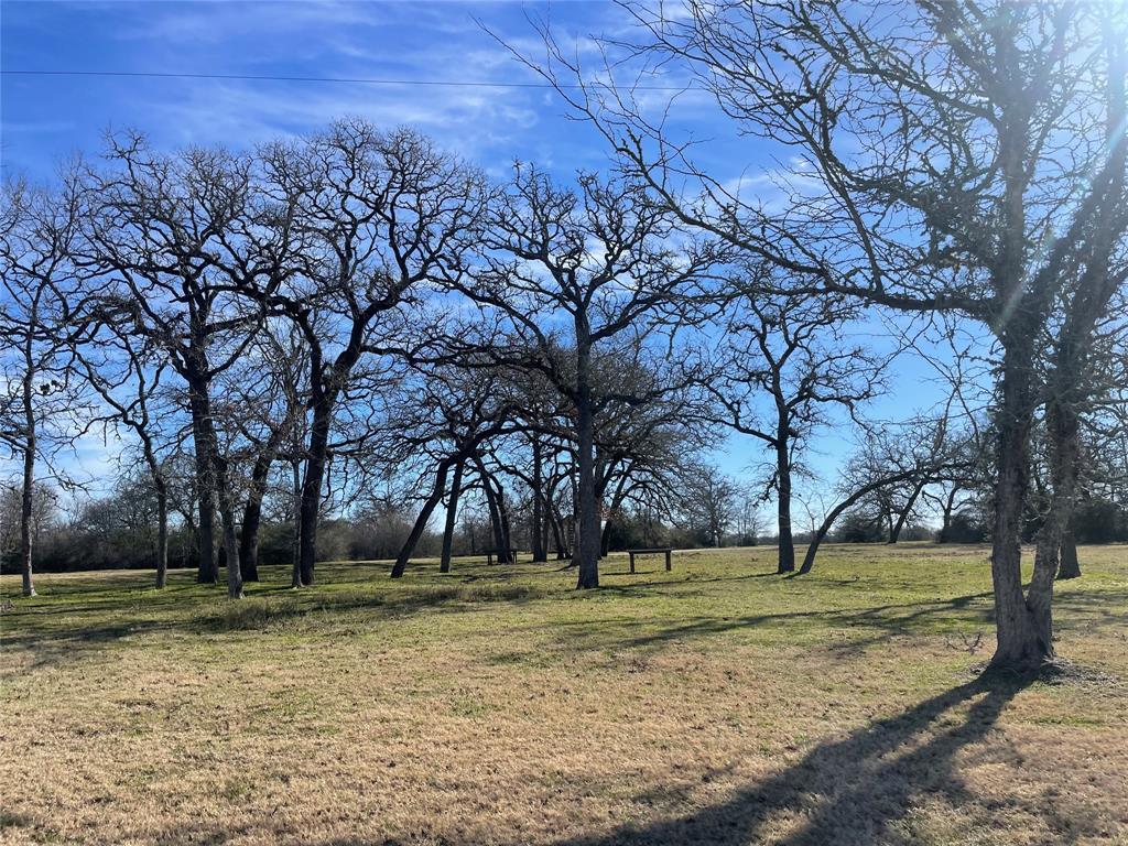 19363 Moonlit Hollow Loop , College Station, Texas image 45