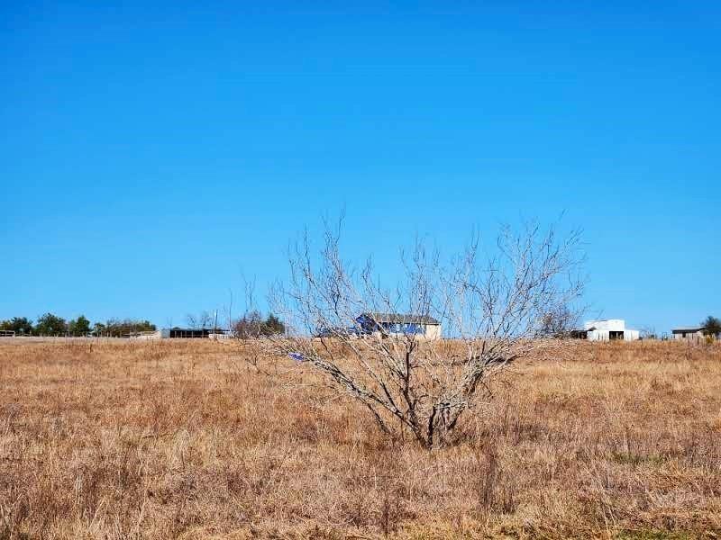 20646 Cameron Road  , Coupland, Texas image 6