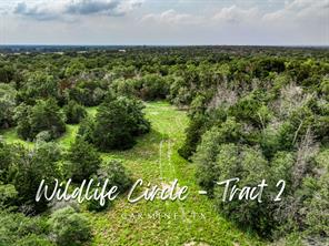 TBD Wildlife Circle, Carmine, TX 78932