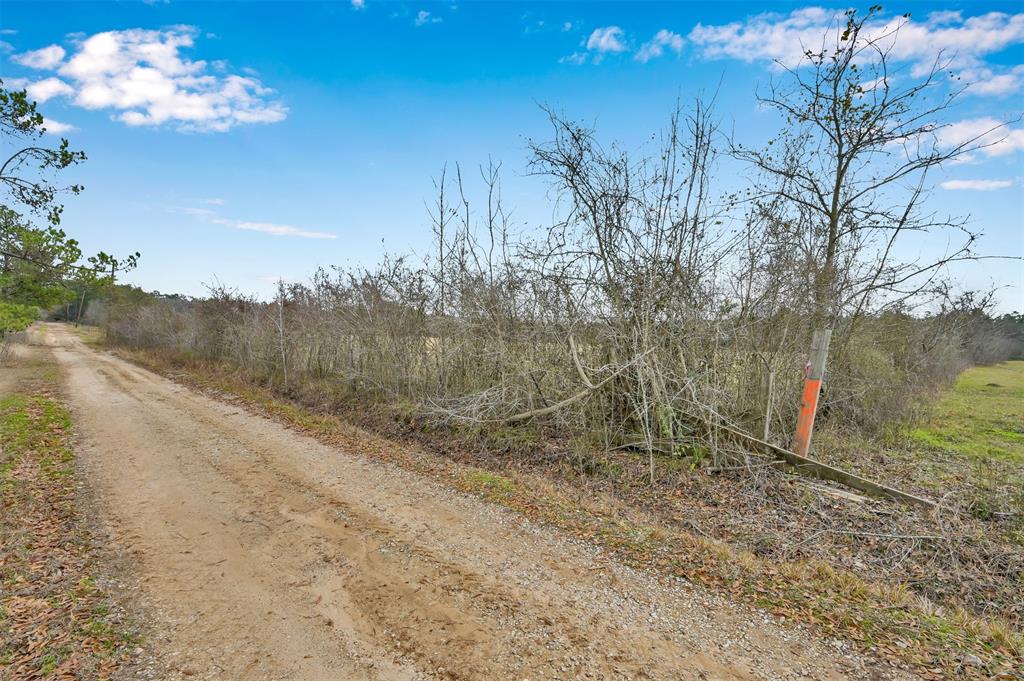 TBD Whispering Pines Road , New Waverly, Texas image 12