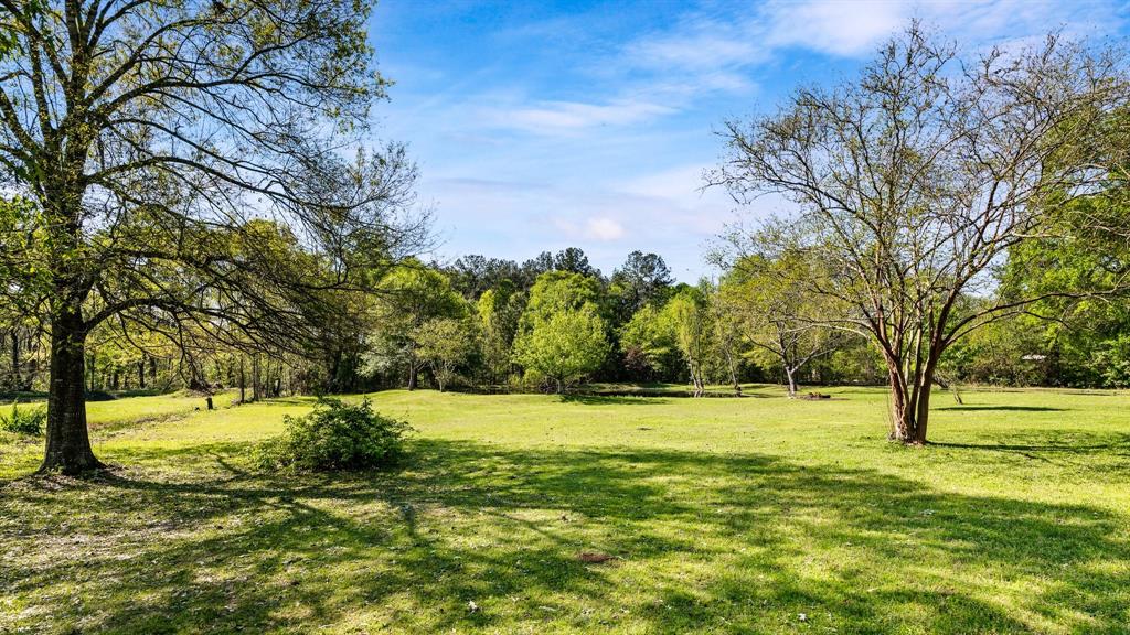 A serene park like area with lush green grass, leaf-bare and leafy trees under a clear blue sky.