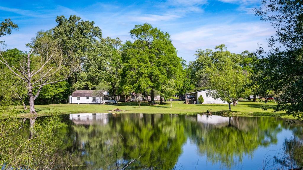 Rural landscape with a pond reflecting trees, a clear sky, and a guest cottage surrounded by greenery. Tranquil and picturesque.