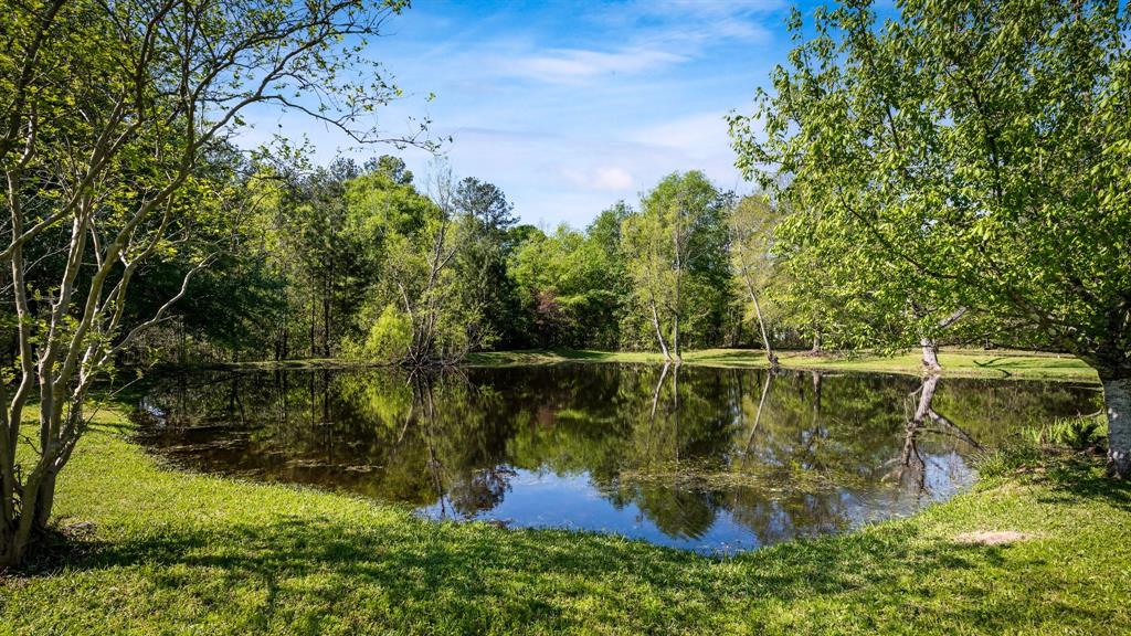 15656 Tyler Lane  , Splendora, Texas image 7