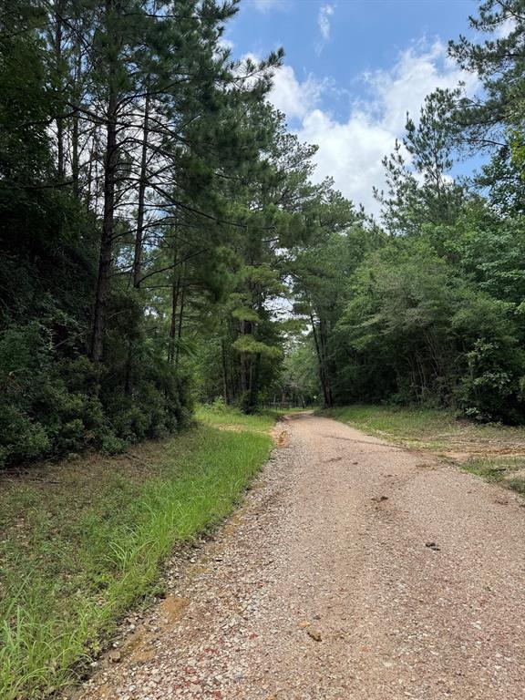 TBD County Road 4494  , Hillister, Texas image 4