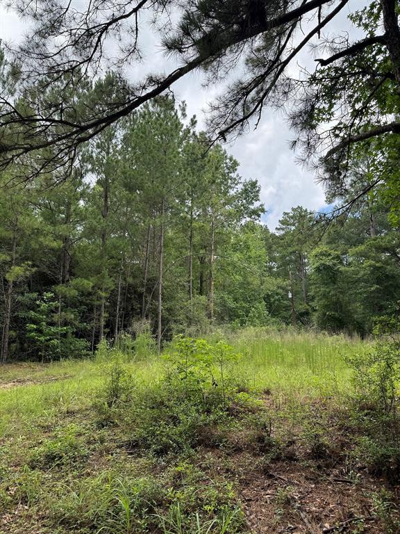 TBD County Road 4494  , Hillister, Texas image 6