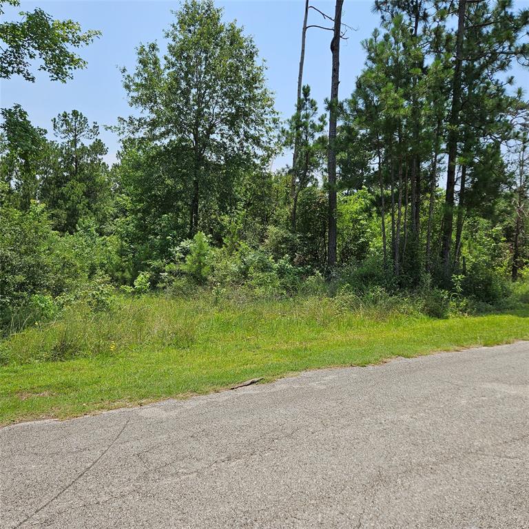 I am seeing new growth pines on parts of the lots which would be less work to clear.