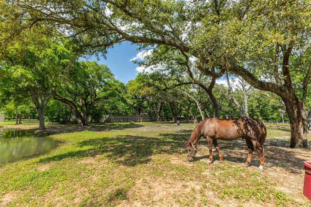 7215 Cobbs Oak Lane , Rosharon, Texas image 45