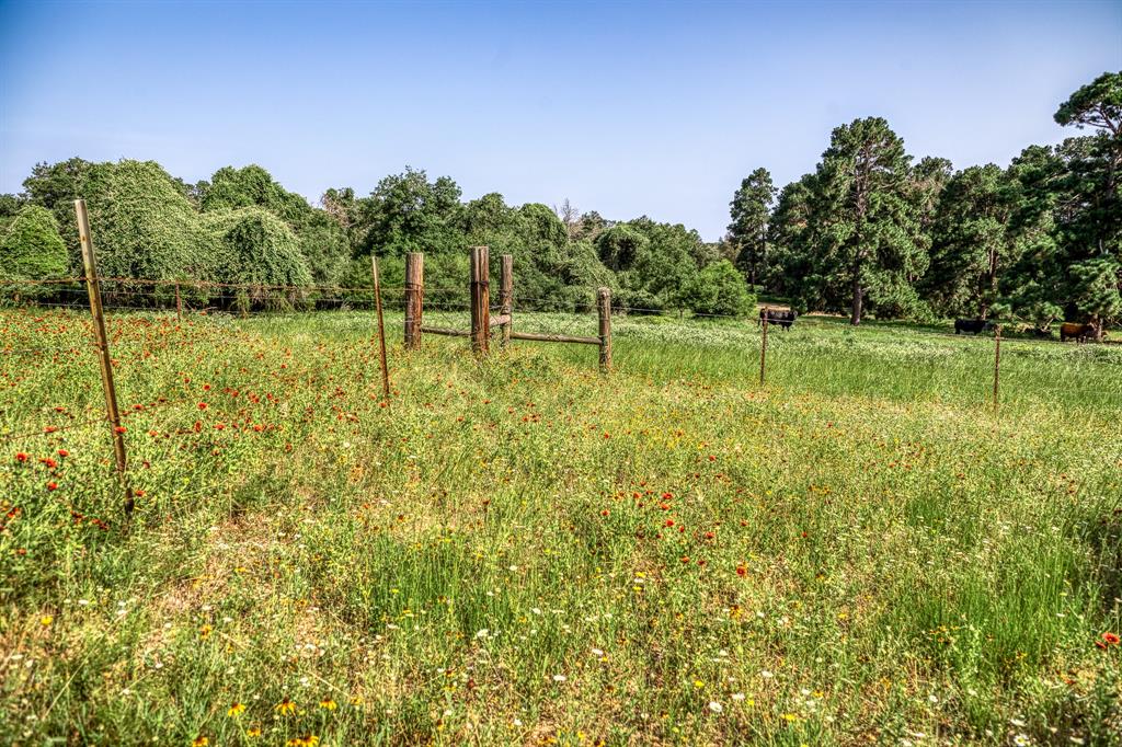 TBD (15.682 Acres) Stockade Ranch Road , Paige, Texas image 12