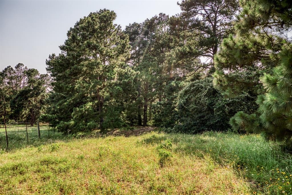 TBD (15.682 Acres) Stockade Ranch Road , Paige, Texas image 13