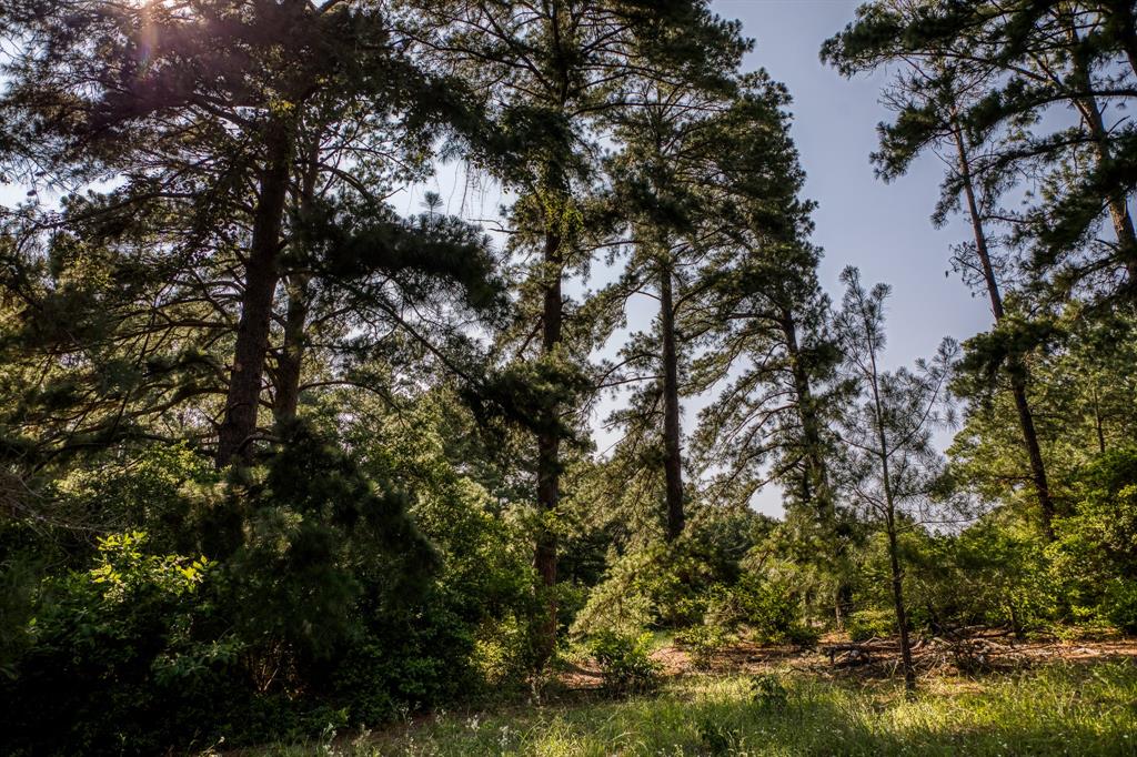 TBD (15.682 Acres) Stockade Ranch Road , Paige, Texas image 14