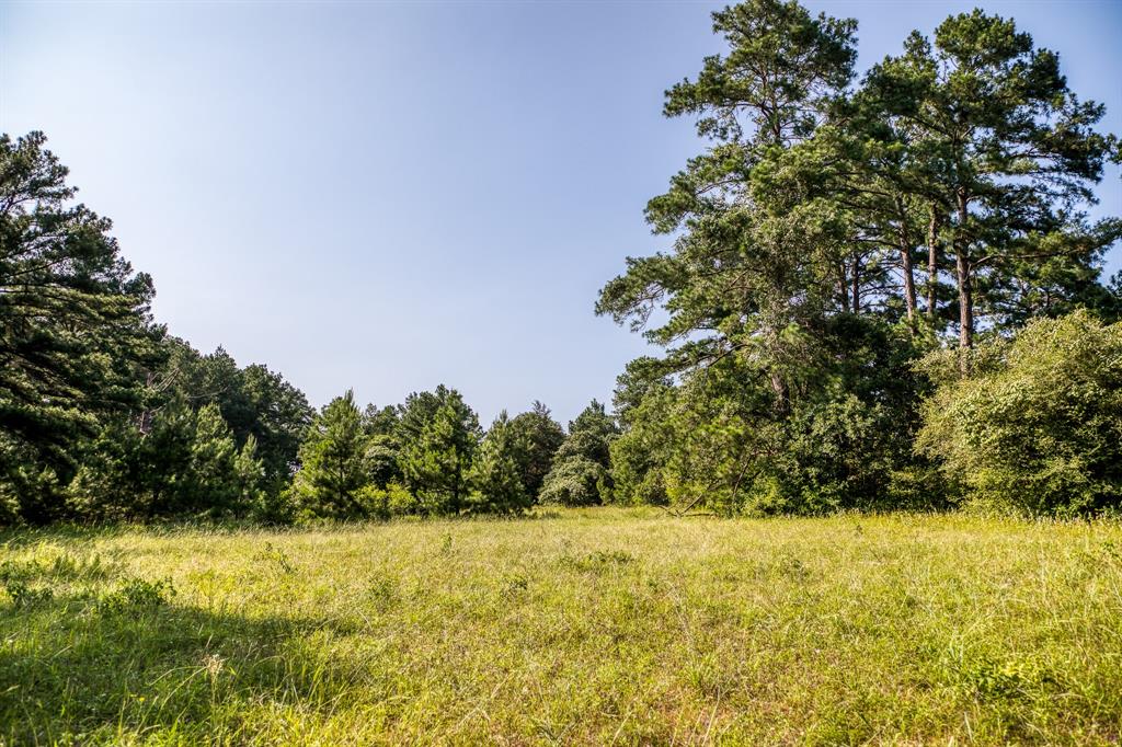 TBD (15.682 Acres) Stockade Ranch Road , Paige, Texas image 16