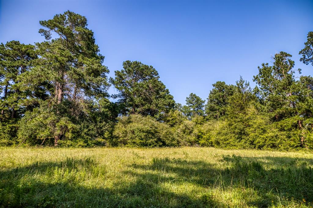 TBD (15.682 Acres) Stockade Ranch Road , Paige, Texas image 17