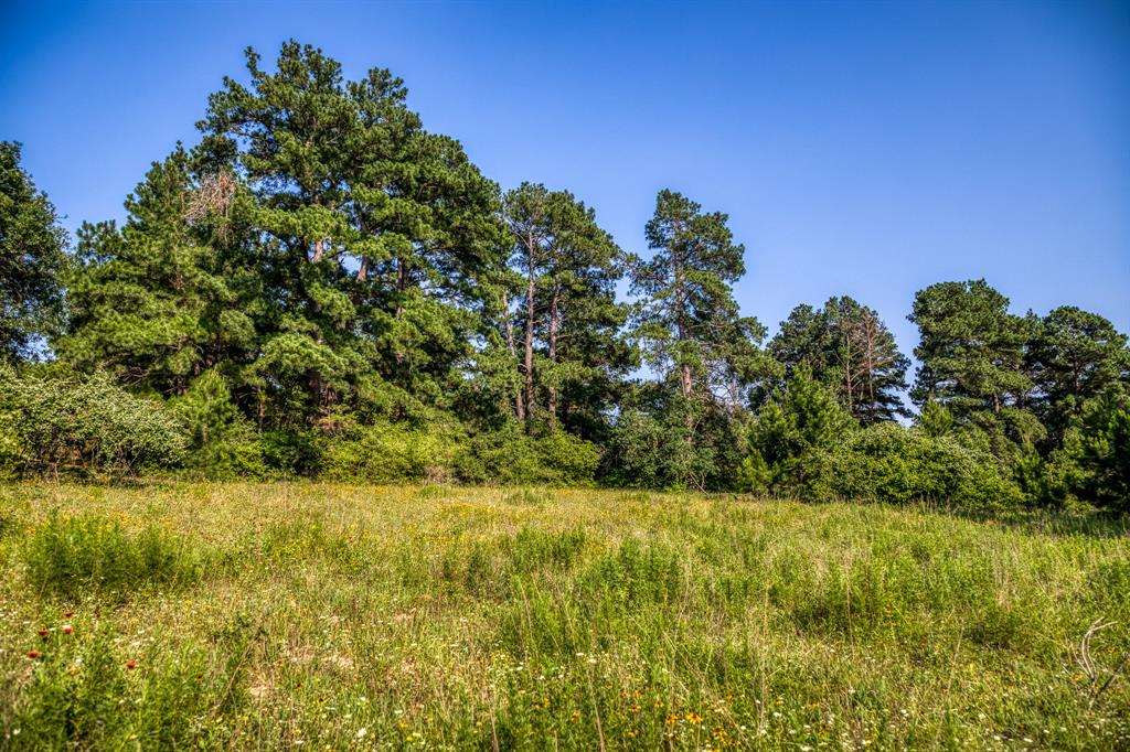 TBD (15.682 Acres) Stockade Ranch Road , Paige, Texas image 19