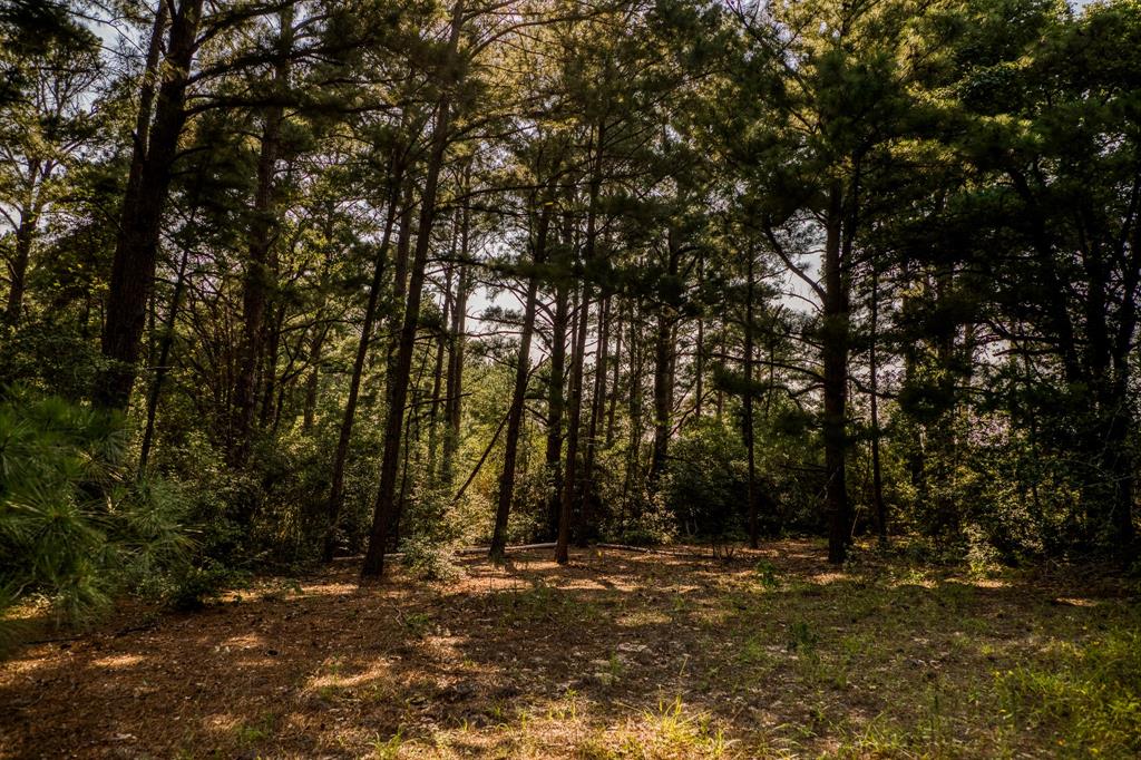 TBD (15.682 Acres) Stockade Ranch Road , Paige, Texas image 20