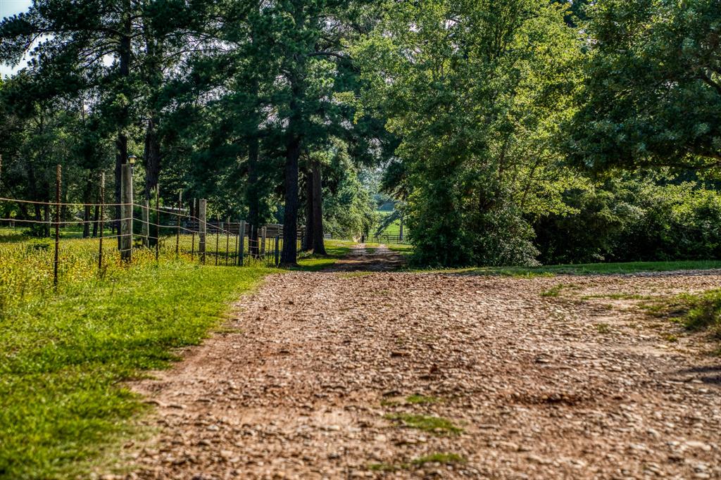 Driveway access to the property from Stockade Ranch Rd.