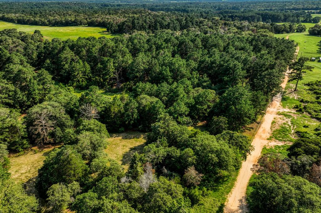 TBD (15.682 Acres) Stockade Ranch Road , Paige, Texas image 35